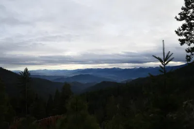 DSC_0076 (Large).JPG